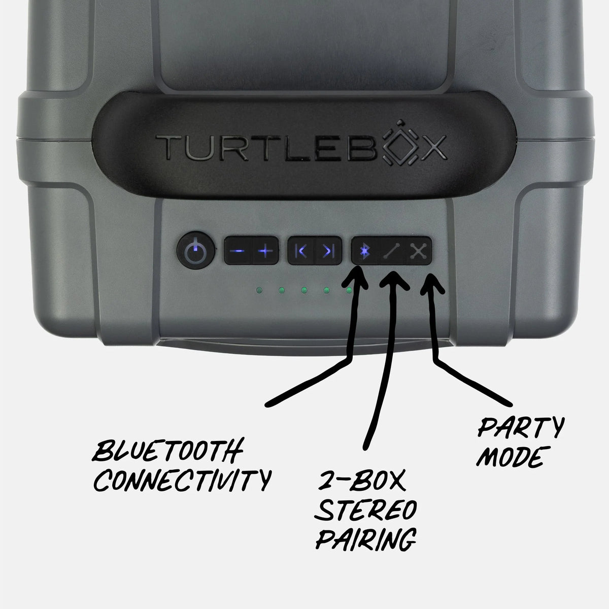 Turtle Box Cub