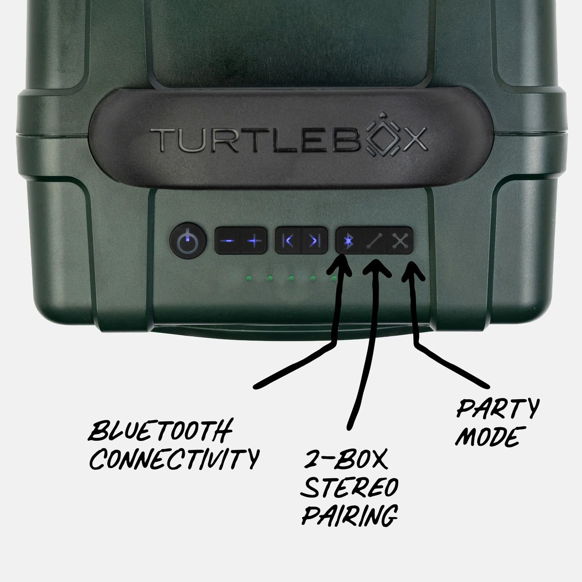 Turtle Box Cub