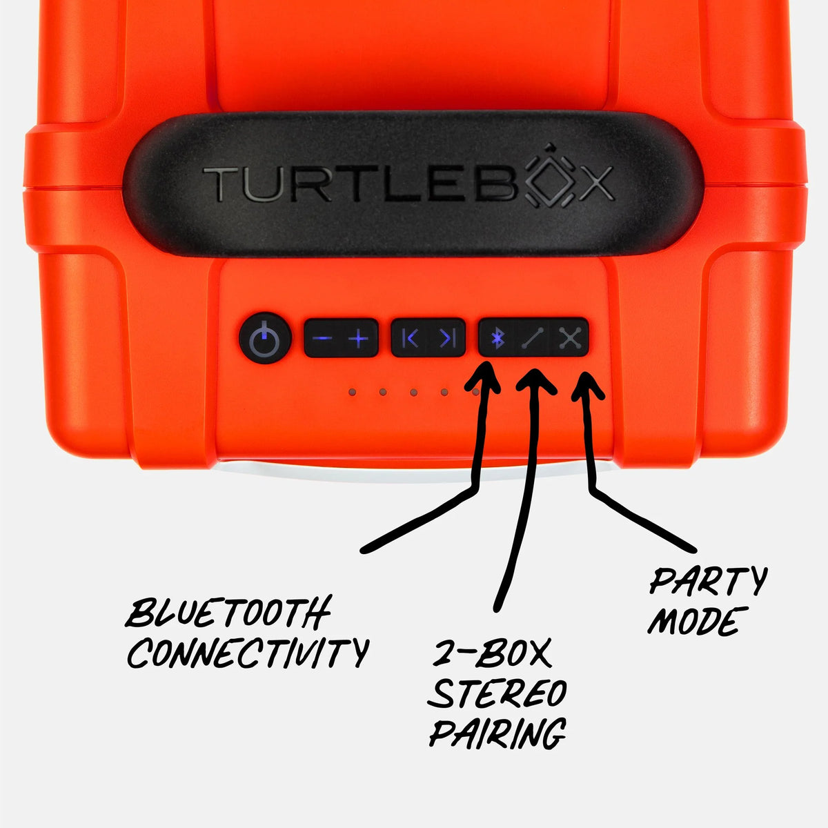 Turtle Box Cub