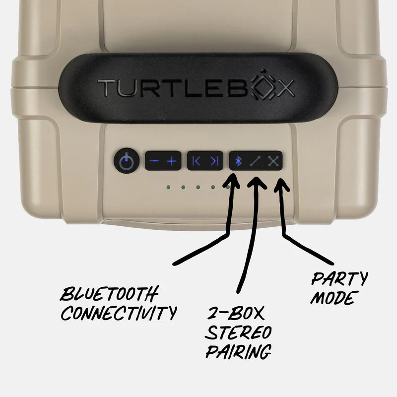 Turtle Box Cub