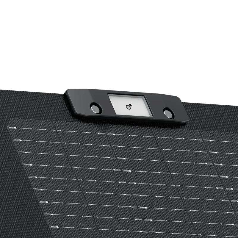ECOFLOW 160W Solar Panel